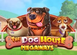 brennstoffzelle4home: The Dog House Megaways